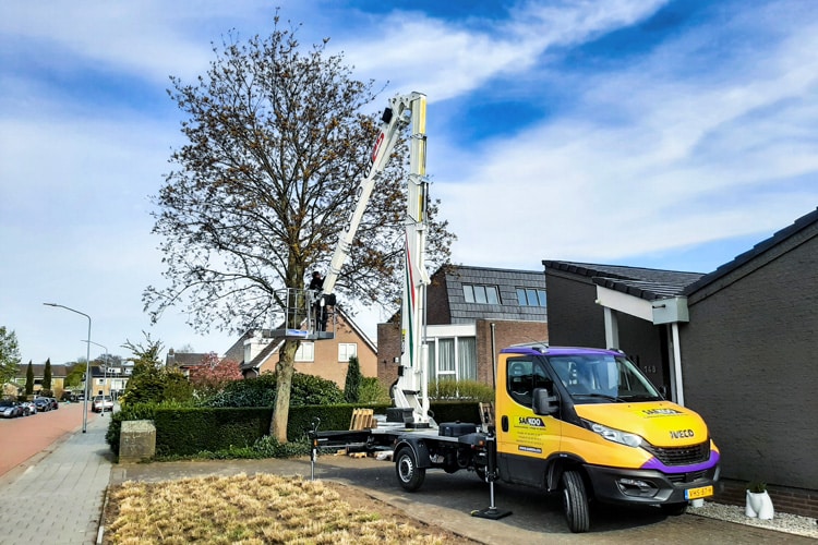 CELA DT Truck 25 CELA DT Truck 25 vrachtwagenhoogwerker